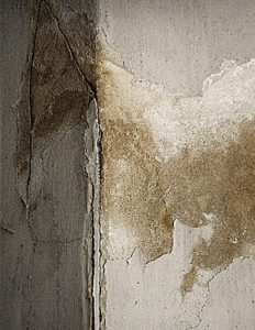 Effritement revêtement mur