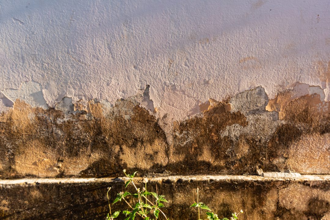 Détails de la façade du Roy avec peinture écaillée et tâches d'humidité.