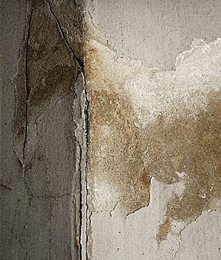 Remontées capillaires, comment assécher les murs de votre maison ?