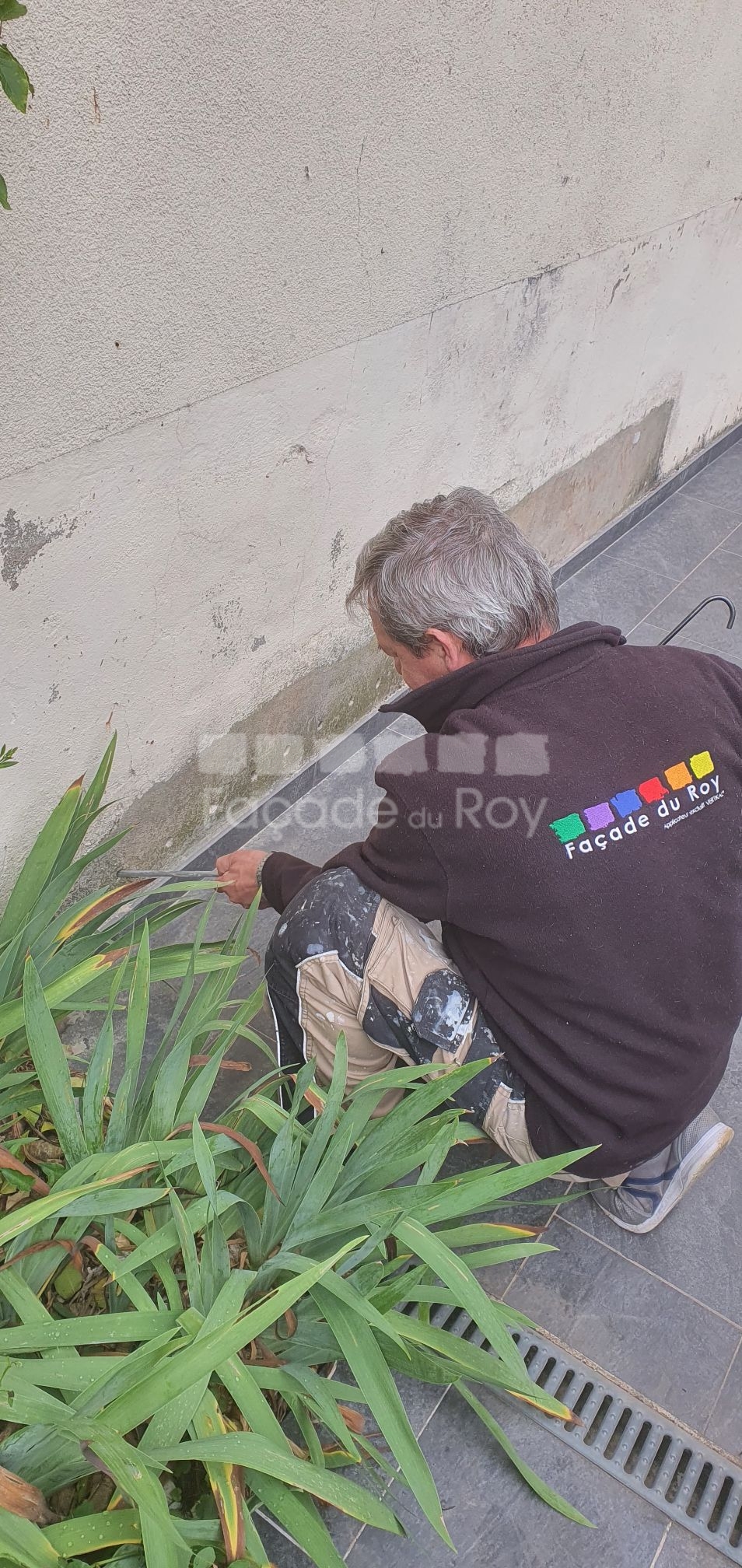 Nogent sur Marne, 94130, Traitement contre l'humidité